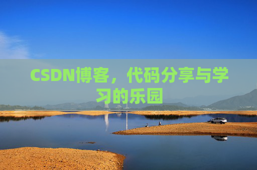 CSDN博客，代码分享与学习的乐园